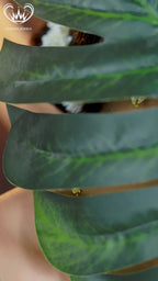 “Lord Ganesha gold-tone pendant necklace set with matching earrings – Damani Jewels”